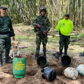 Ejército desmanteló dos depósitos de material explosivo en Bolívar, Valle