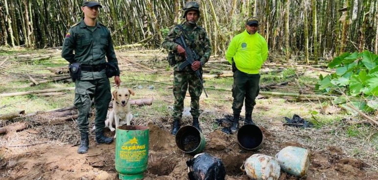 Ejército desmanteló dos depósitos de material explosivo en Bolívar, Valle