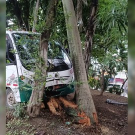 Fuerte accidente de bus escolar contra un árbol al norte de Cali