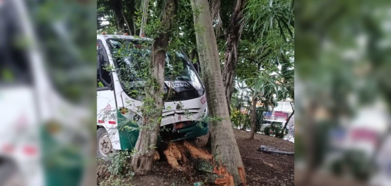 Fuerte accidente de bus escolar contra un árbol al norte de Cali