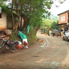 Habitantes de la Buitrera denuncian aumento de robos en la zona