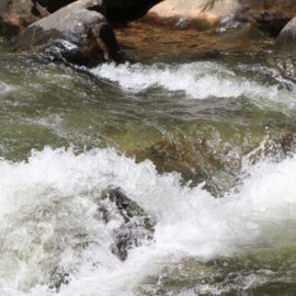 ¡Atención! Declaran alerta roja en ríos Pance y Meléndez por lluvias