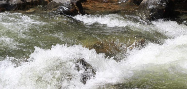 ¡Atención! Declaran alerta roja en ríos Pance y Meléndez por lluvias