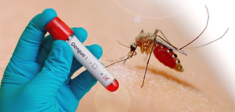 Cali reportó una  disminución del 50% en los casos de dengue