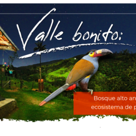 VALLE BONITO: el valle más bonito del Valle del Cauca