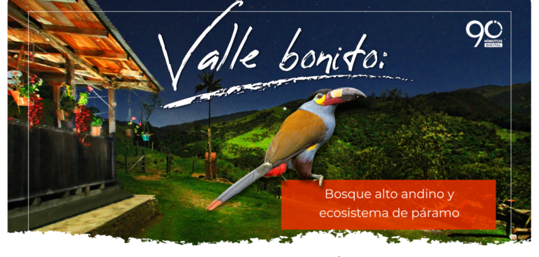 VALLE BONITO: el valle más bonito del Valle del Cauca