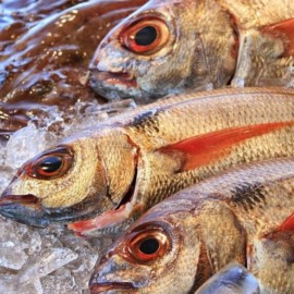 ¿Cómo reconocer un pescado fresco para semana santa?