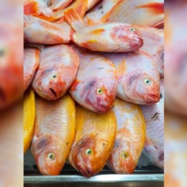 ¿Disminuirá el consumo de pescado en Semana Santa por altos costos?