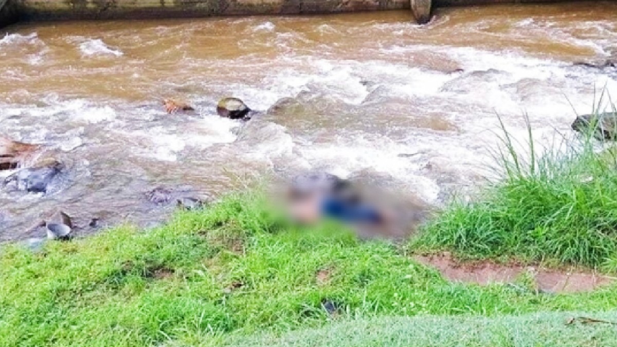 Identifican a mujer desmembrada hallada en bolsas plásticas en Buga