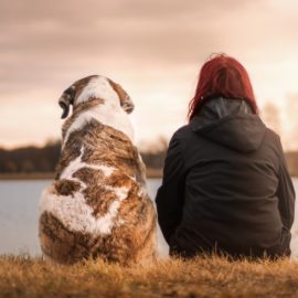 Beneficios de las mascotas en la salud mental