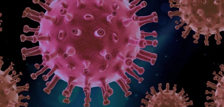 "Es indispensable vigilar el virus del Covid-19": OMS