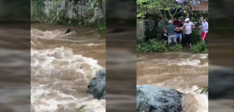 Video: grupo de bañistas quedó atrapado tras creciente del río en Cali