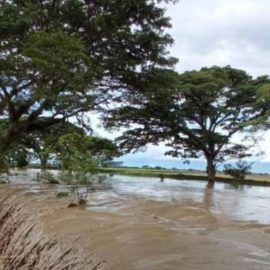 Inundaciones por rompimiento del jarillón Río Frayle en corregimiento de Palmira