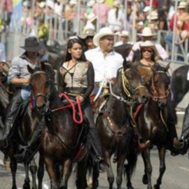 Movimiento Animalista del Valle busca prohibir las cabalgatas