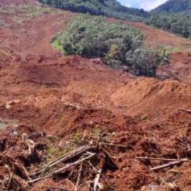 Ocho personas murieron sepultadas tras deslizamiento de tierra en el Cauca
