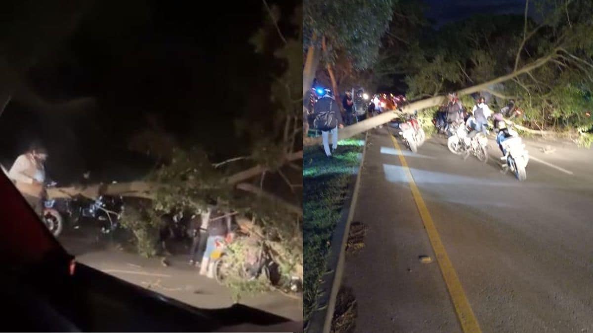 Caída de árbol provocó un accidente que dejó tres heridos en la vía Cali-Palmira