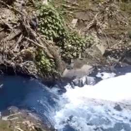 Un río de color azul: denuncian grave contaminación ambiental en Acopi