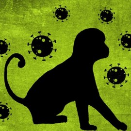 OMS registra más de 6.000 contagios con la viruela del mono en 58 países