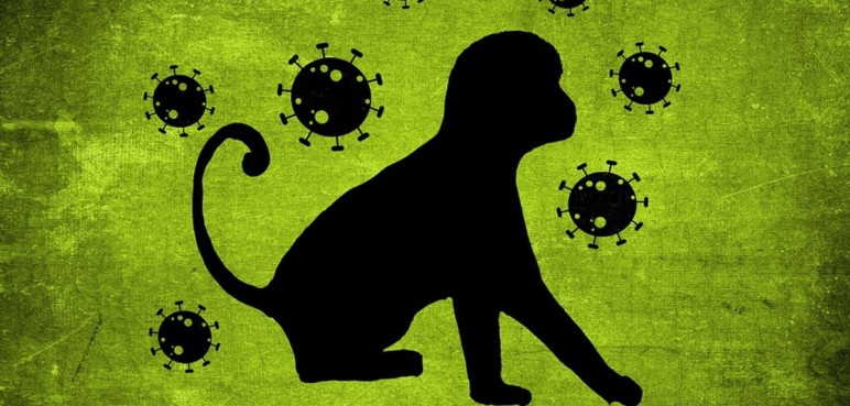 OMS registra más de 6.000 contagios con la viruela del mono en 58 países