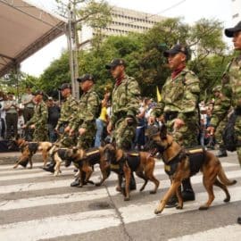 policia-no-podrian-llevar-caballos-ni-perros-para-controlar-manifestaciones-09-08-2022