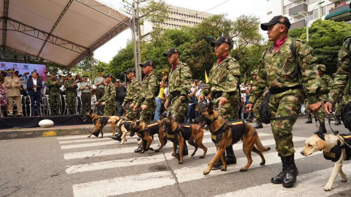 policia-no-podrian-llevar-caballos-ni-perros-para-controlar-manifestaciones-09-08-2022