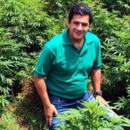 Alcalde de Cali propondrá al Concejo comercializar cannabis en la ciudad