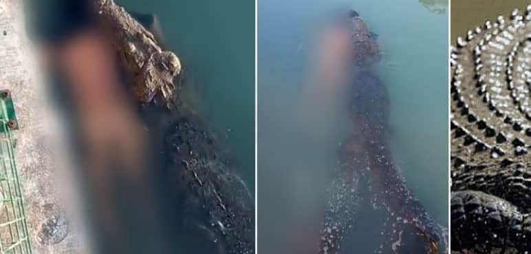 Aterrador: Cocodrilo exhibe a un hombre sin vida como presa en lago de México