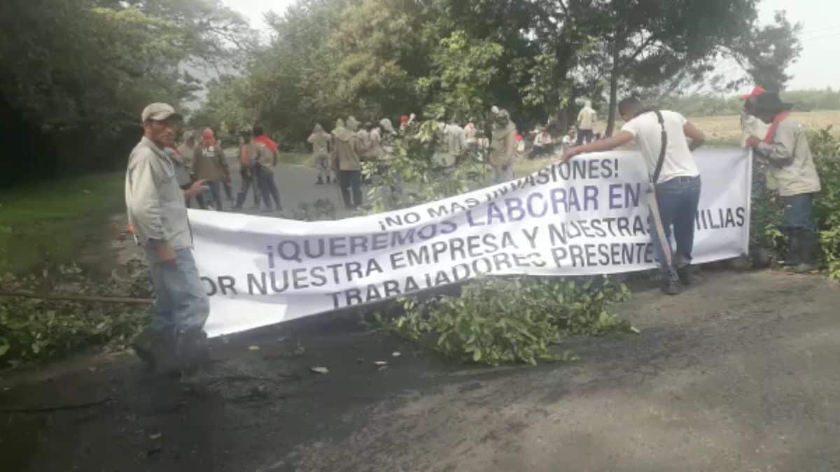 “No tienen respeto alguno”: Consejo Gremial ante invasiones en el Cauca