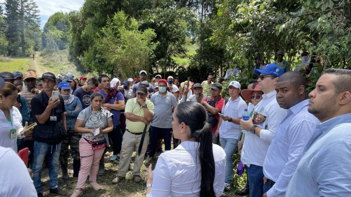 “Lo que pasó en Paz Animal es solo un plan piloto”: Alcaldesa de Dagua