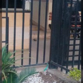 Lanzan granada al interior de unidad residencial en Cali: autoridades investigan