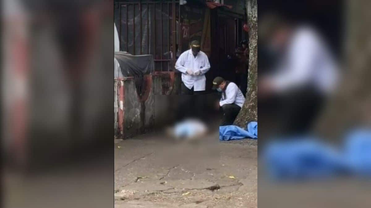 Ataque a patrulla dejó dos personas muertas en zona rural de Roldanillo