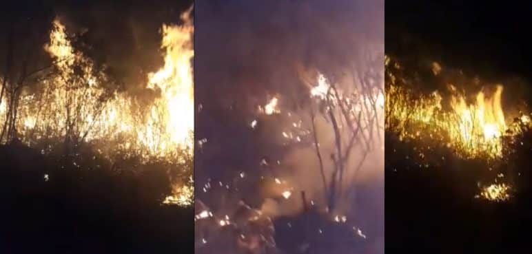 Video: Gran incendio forestal consumió tres hectáreas en el norte de Cali
