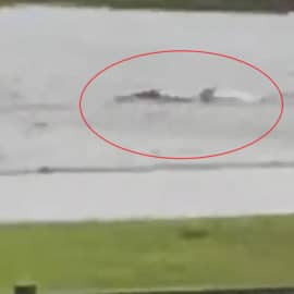 ¿Video real?: Captan tiburón nadando en vía Florida tras paso de huracán Ian