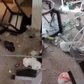 Video: un joven destruyó la casa de su mamá porque le quitaron el celular