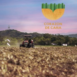 'Corazón de Caña', marca que distinguirá al sector agroindustrial de la caña