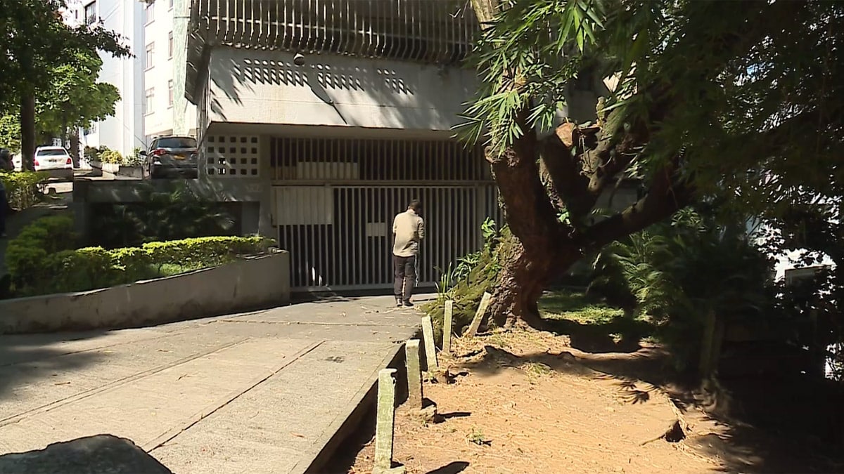 Denuncian intención de talar un viejo árbol para construir parqueaderos en edificio