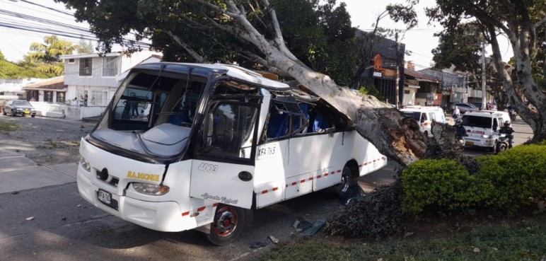 Enorme árbol cayó sobre un bus al norte de Cali