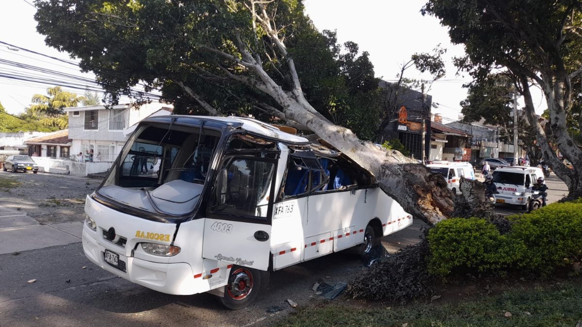 Enorme árbol cayó sobre un bus al norte de Cali