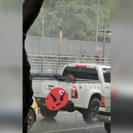 ¡Indignante! En medio de torrencial aguacero transportaban a un perro en el platón de una camioneta