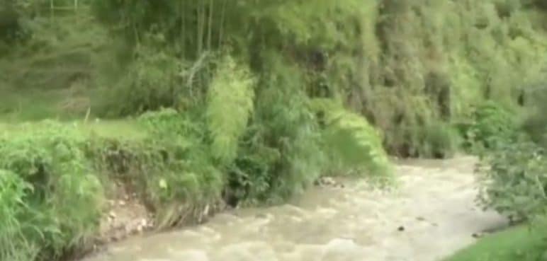Lamentable hecho: Niña de dos años murió ahogada tras caer a un río