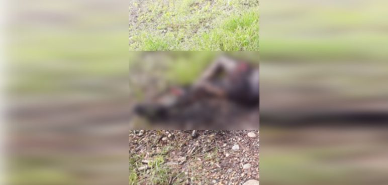 Macabro hallazgo: Encuentran cuerpo sin vida incinerado en Jamundí