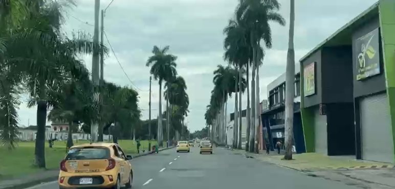 Video: Este es el panorama de las calles en el día sin carro y sin moto en Cali