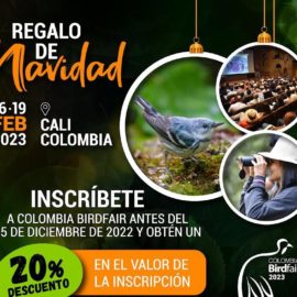 ¿Está listo? Estos son los descuentos y eventos que tendrá Colombia BirdFair 2023
