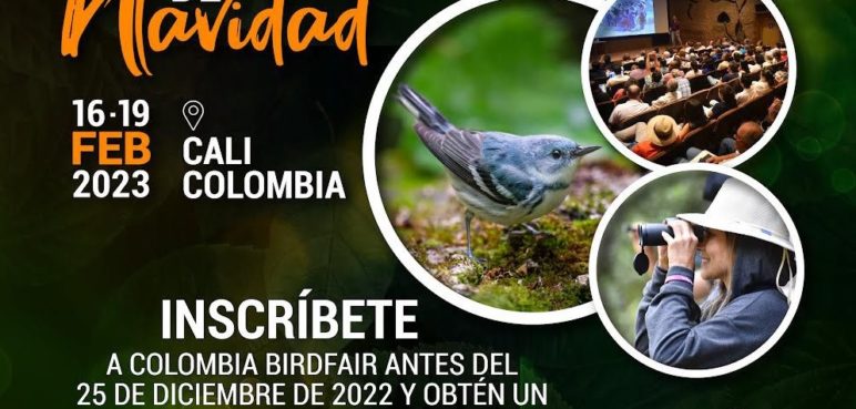 ¿Está listo? Estos son los descuentos y eventos que tendrá Colombia BirdFair 2023