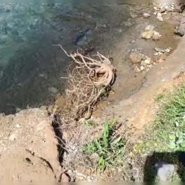 Creciente del río afecta la carretera en San Cipriano