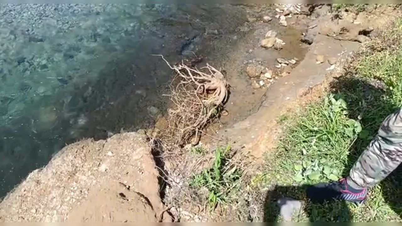 Creciente del río afecta la carretera en San Cipriano