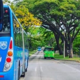 “200 buses del MIO se oxidan en un parqueadero": Controversia por el Mío