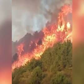 Continúa emergencia en Tacueyó, Cauca, por incendio