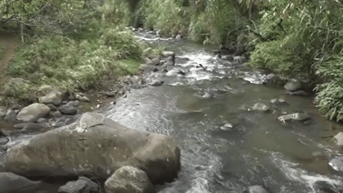 Por mal olor en el río Meléndez, habitantes de la Buitrera piden construcción de PTAR