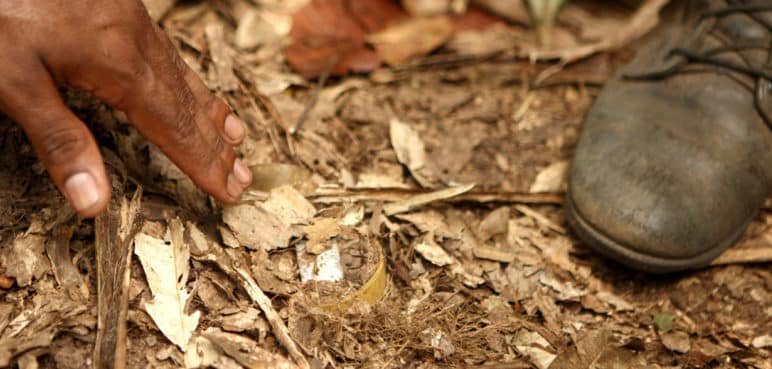 Pareja de esposos lesionados por pisar mina anti personas en zona rural de Tumaco